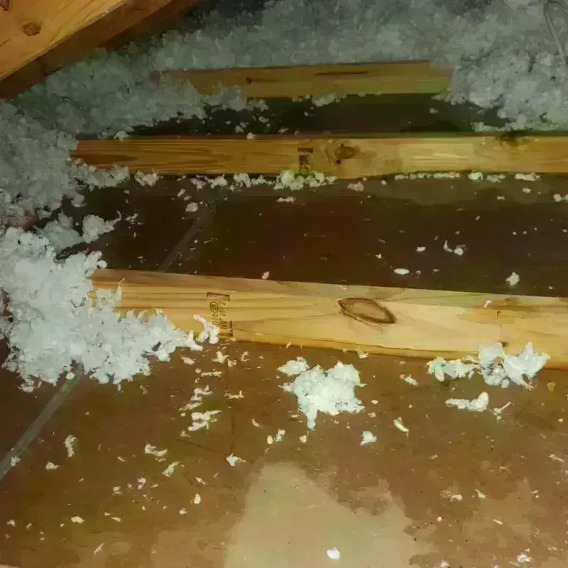 Attic Water Damage in Forest, OH