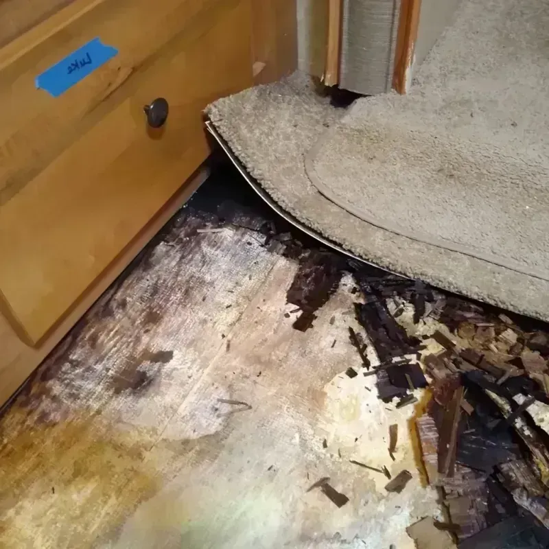 Wood Floor Water Damage in Forest, OH